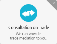 Consultation on Trade